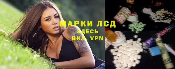 мдпв Богородск