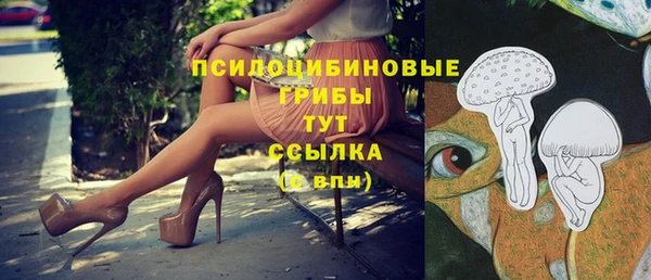 стафф Богородицк