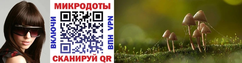 Псилоцибиновые грибы мухоморы  цены наркотик  Светлый 
